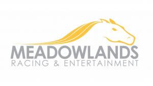 MeadowlandsLogo